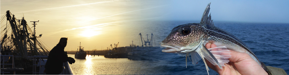 Ankervissen met de SRA op de Westerschelde